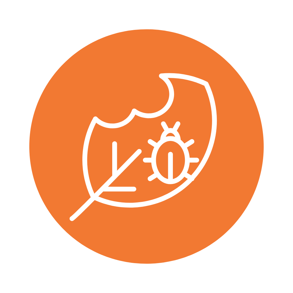 Pest control icon for autumn succulent care