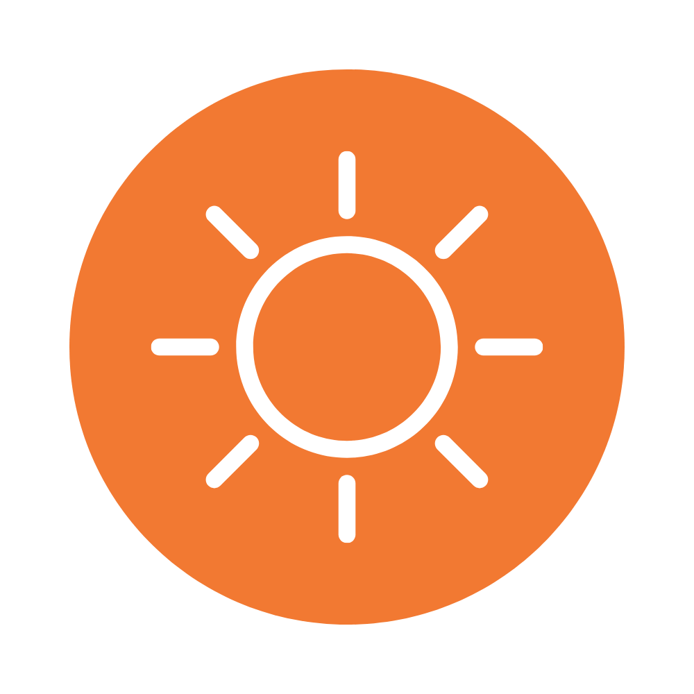 Sunlight icon for autumn succulent care