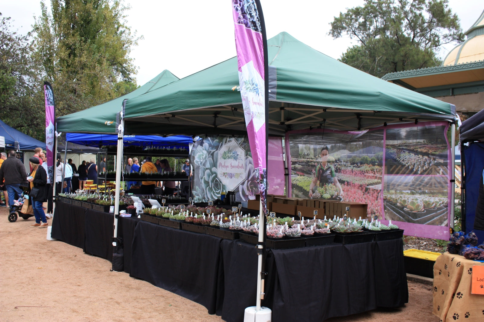 Image of Mudgee Succulents stall set up at the Mudgee Farmers Market